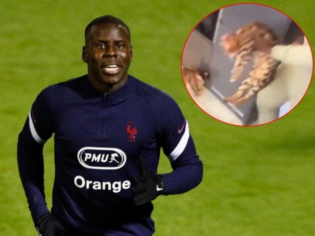 Kurt Zouma gato video