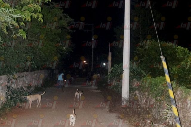 'Uay pek' y 'uay keken' asustan a habitantes de Tzucacab (1)