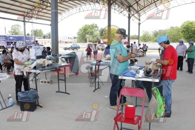 peto esterilización