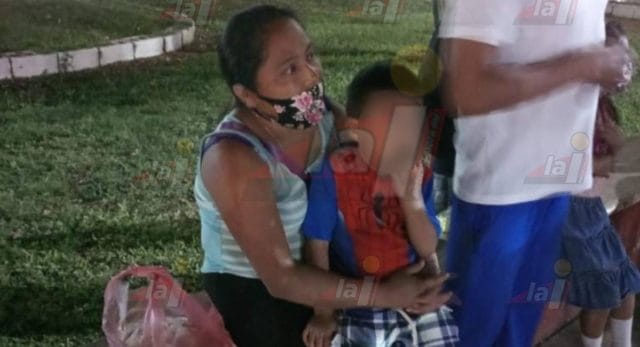 peto perro callejero menor