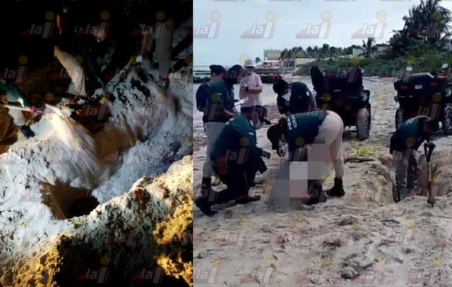 recalaron orca y delfín yucatán (1)