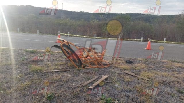 arrollado Campeche-Mérida