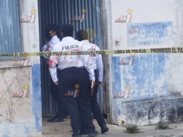 bebé colonia jardines