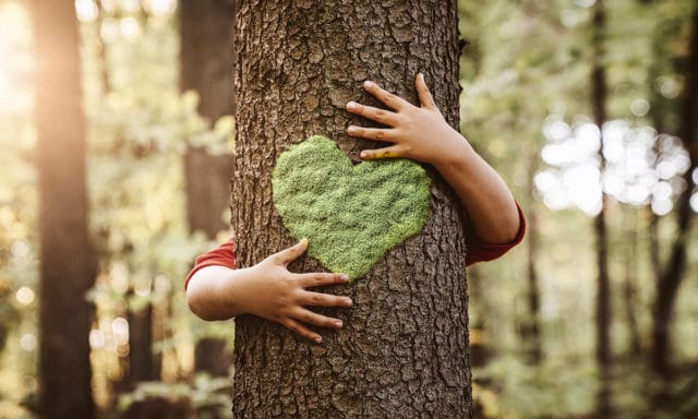 Día del Medio Ambiente