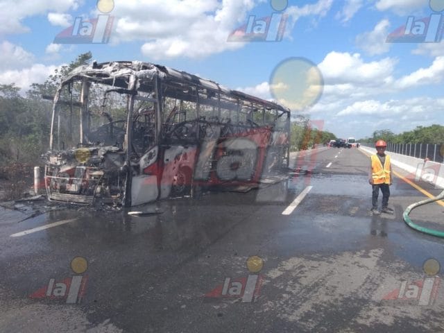 autobús mérida-cancún