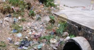 desagüe basura