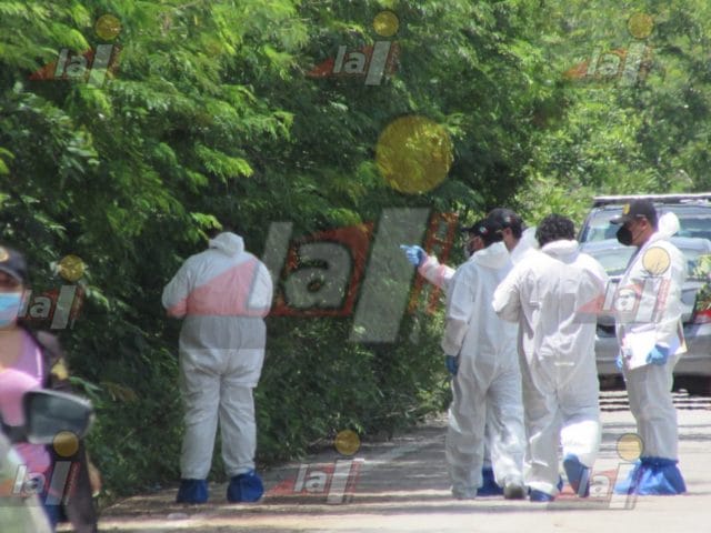 chikindzonot ejecutados