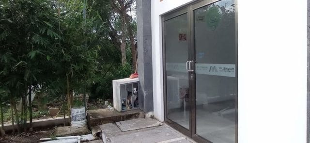 maltrato animal clínica (2) maltrato animal clínica