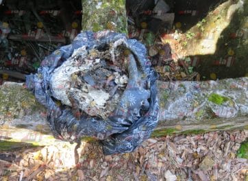 brujería panteón tizimín