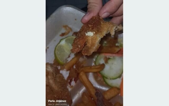 cocina económica larvas (1)