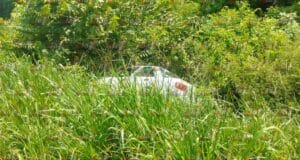 Automóvil Tsuru se sale de la carretera Temozón-Calotmul