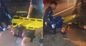 Dos lesionados y un perro sin vida tras choque en la Mérida-Tixkokob