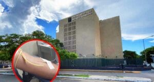 IMSS Yucatán: la importancia de las donaciones de plaquetas