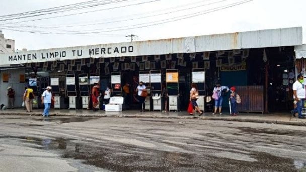 fumigaciones mercados Campeche
