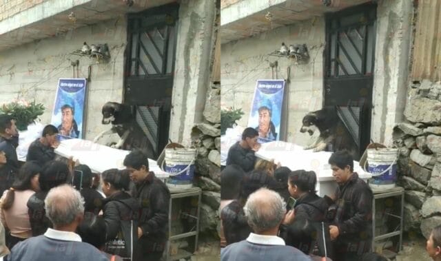 Perro despide a su dueño en su funeral