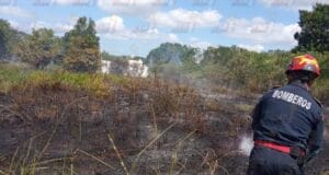 Quema de basura se sale de control y causa incendio en Tizimín