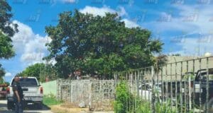 Reconocida comerciante fallece por descarga eléctrica en Seyé