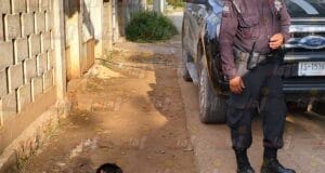 Vecinos de Oxkutzcab amarran como "puerco" a presunto ladrón