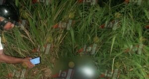 motociclista vida carretera bolonchen