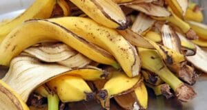 ¿Por qué no debes tirar las cáscaras de plátano? Te explicamos