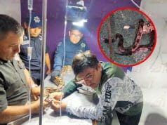 Atrapan a inmensa serpiente boa en las calles de Valladolid
