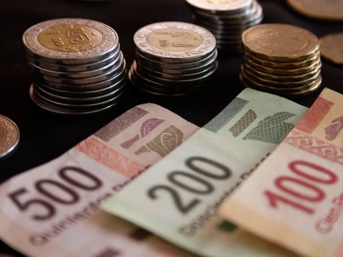 El salario mínimo en 2024 ¿Cuánto aumentará? El salario mínimo en 2024 ¿Cuánto aumentará?