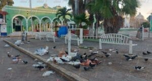 Pobladores de Hecelchakán piden alto a la contaminación pública