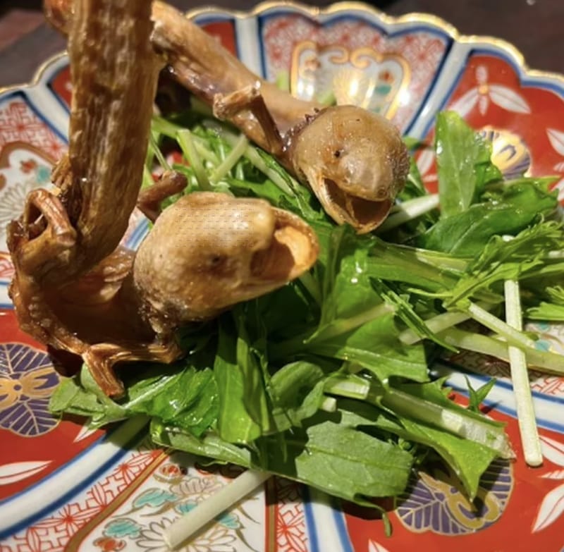 Comen ajolote empanizado en un restaurante de Japón