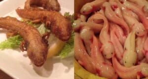 Comen ajolote empanizado en un restaurante de Japón