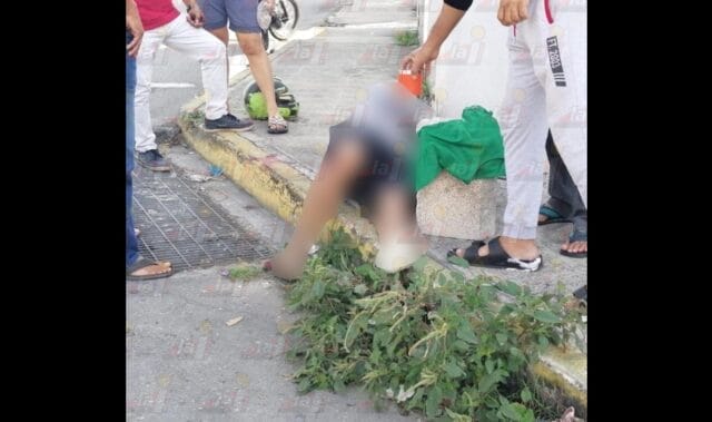 Hombre pierde la vida al caerse de un árbol de 7 metros en Mérida