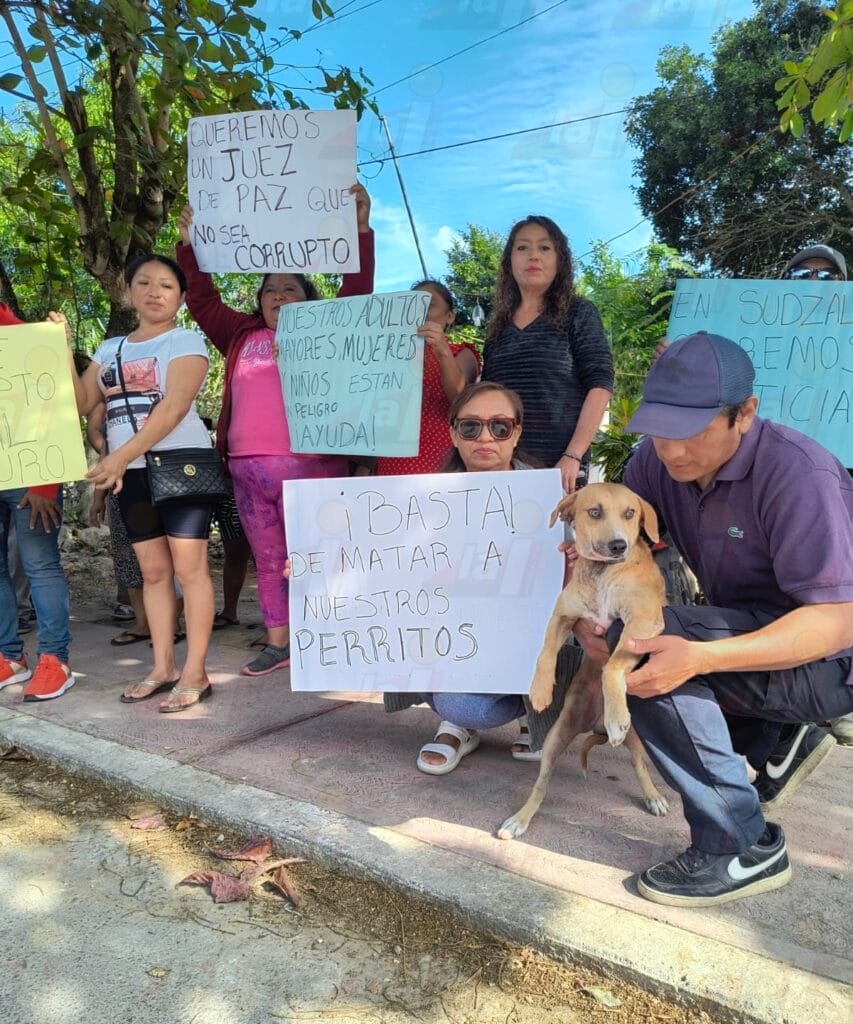 Pobladores de Sudzal protestan contra matanza de animales
