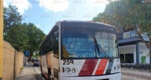 Rama cae sobre autobús de transporte público en la Lourdes Industrial