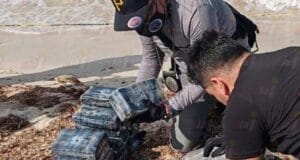 Recalan ladrillos de droga en las playas de Yucatán