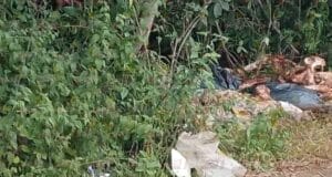 Reportan basureros clandestinos en la vía Tzucacab-Ek Balam