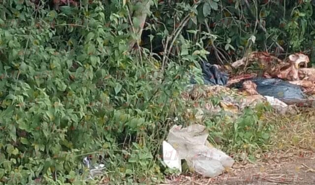 Reportan basureros clandestinos en la vía Tzucacab-Ek Balam