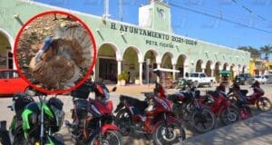 Sujeto detenido por el robo de un pavo en Peto