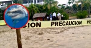 Tras ataque de tiburón, turista canadiense fallece en la playa