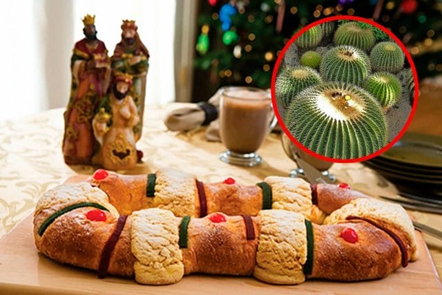 El ingrediente ilegal de la Rosca de Reyes