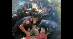 Encuentran a abuelito que se había perdido en los montes de Timucuy