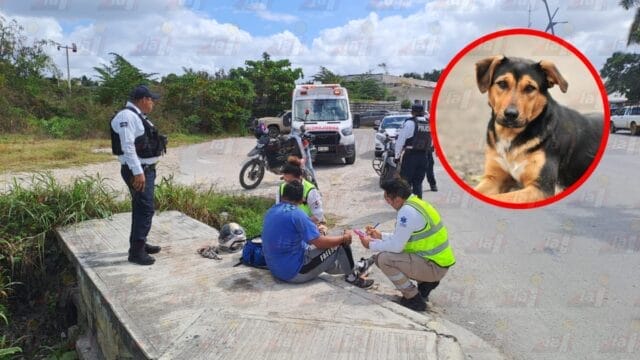 Motociclista esquiva a perro y termina en choque sobre la Héroe de Nacozari