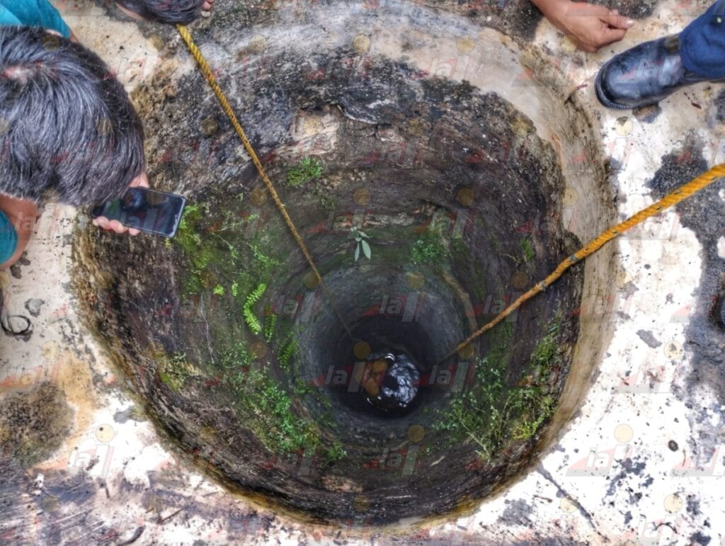 Rescatan a perro de pozo de 12 metros en Tanyá