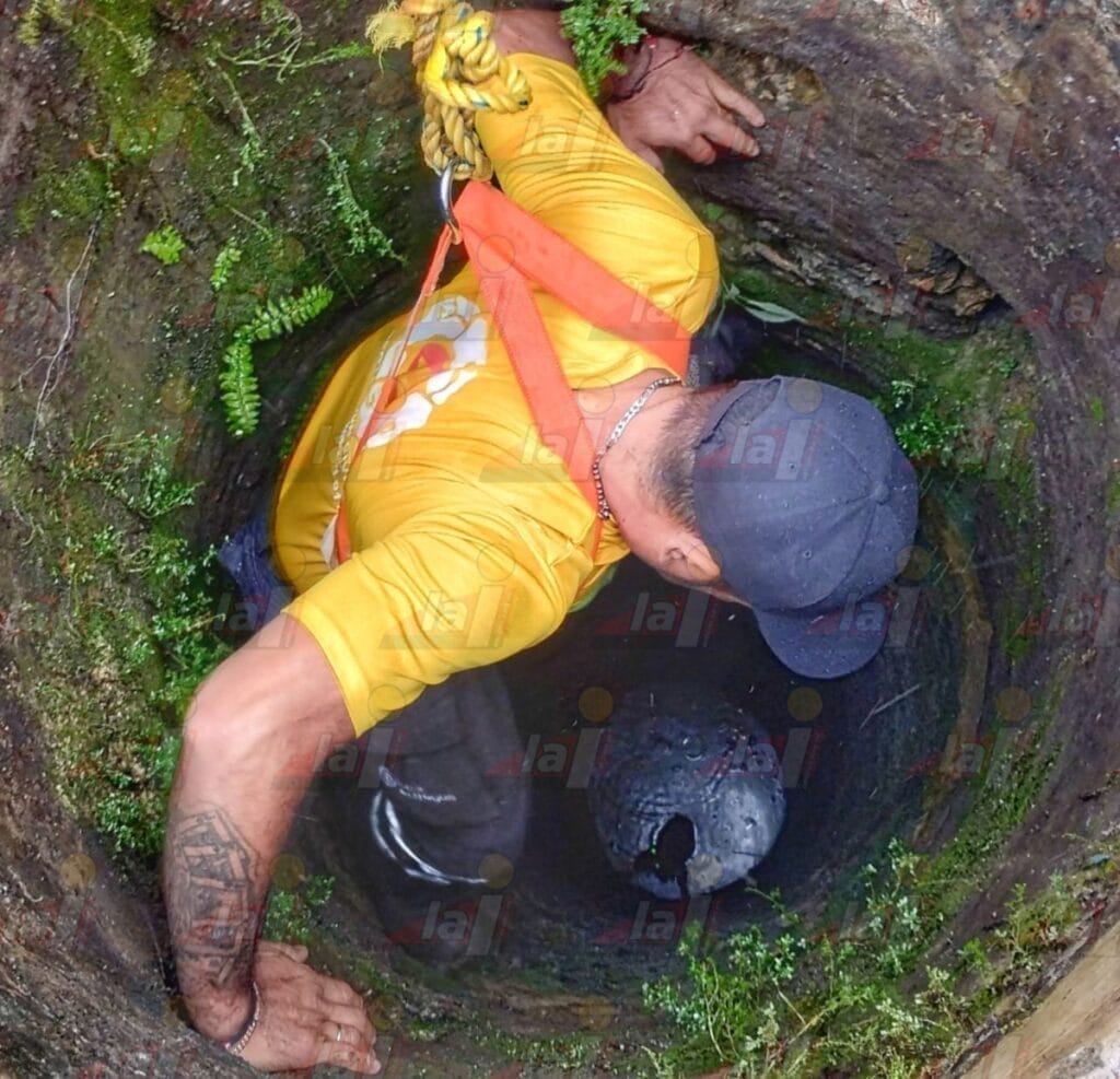 Rescatan a perro de pozo de 12 metros en Tanyá
