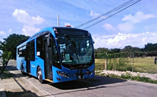 Va y Ven Sur de Mérida (1)