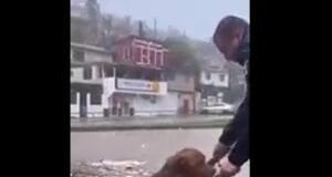 perrito policía