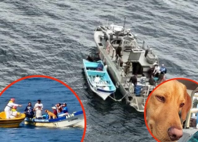 pescadores desaparecidos en Cozumel