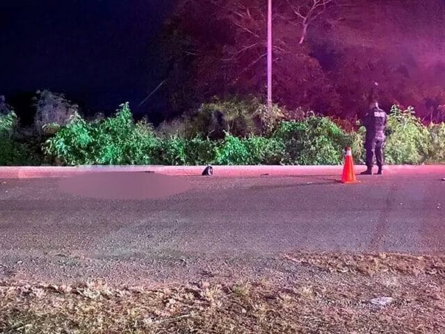 abuelito atropellado abuelito atropellado