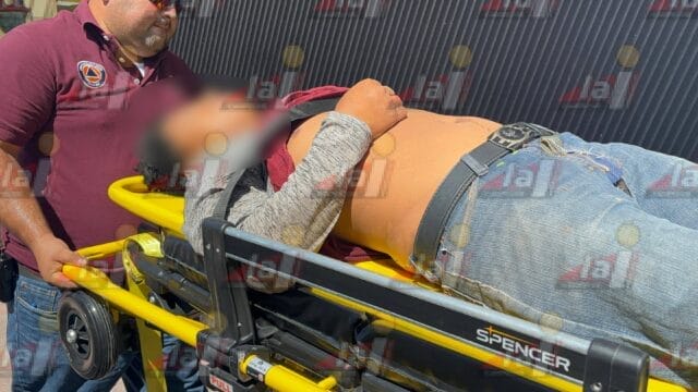 Hombre cae de un árbol