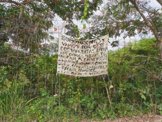 narcomantas campeche