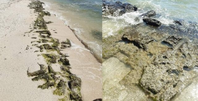 piedras labradas piedras labradas