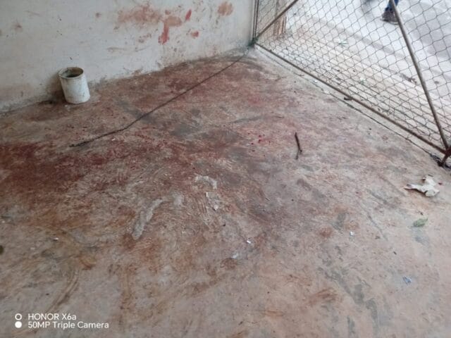 comerciante ataca perro explosivo Chiná
